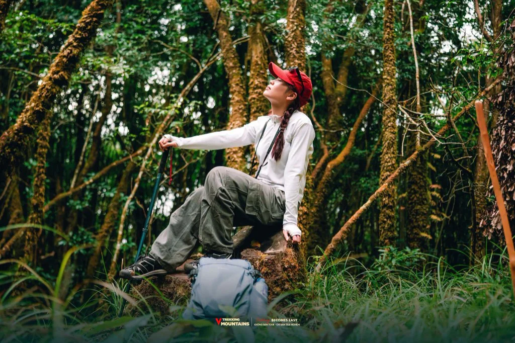 Cô gái đội mũ đỏ ngồi nghỉ trên gốc cây giữa rừng rêu trên đường lên Lùng Cúng