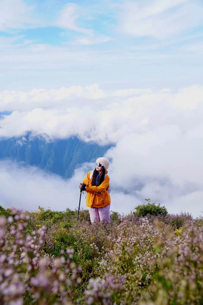 Nữ trekker áo khoác cam ngồi giữa đồi hoa Chi Pâu tím, phía sau là biển mây trên đỉnh Tà Chì Nhù tháng 10